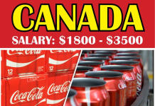 Coca Cola Job Career Vacancies in CANADA 2023| Apply Now