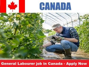 General Labourer job in Canada 