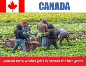 General farm worker jobs in canada for foreigners