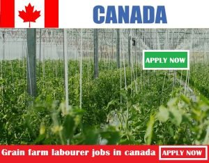 Grain farm labourer jobs in canada