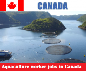 Aquaculture worker jobs in Canada for foreigners