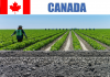 General farm worker jobs in Canada for Foreigners General farm worker jobs in Canada for Canadian and Foreigners