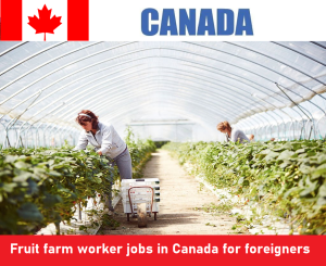 Fruit farm worker jobs in Canada for foreigners