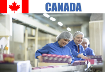 50 Production Labourer Food Processing jobs in Canada 50 Production Labourer Food Processing jobs in Canada