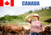 Farm worker jobs in Canada for foreigners, Mar 2023 Farm worker jobs in Canada for foreigners