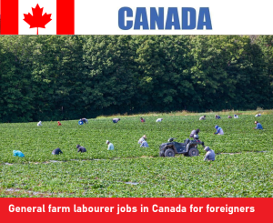 General farm labourer jobs in Canada for foreigners