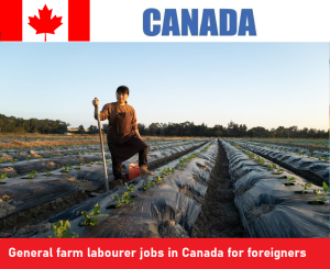 General farm labourer jobs in Canada for foreigners