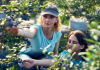 Urgent! Farm worker jobs in Canada for foreigners, May 2023 Farm worker jobs in Canada for foreigners