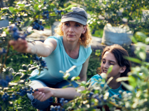 Farm worker jobs in Canada for foreigners
