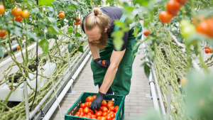 Farm worker jobs in Canada for foreigners