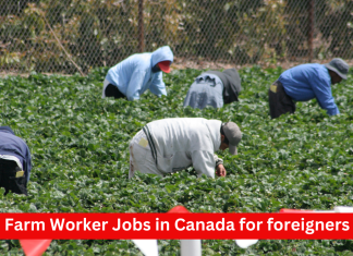 Harvesting Opportunities: Exploring Farm Worker Jobs in Canada for foreigners Farm Worker Jobs in Canada for foreigners