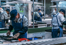 Temporary foreign workers jobs in canada 2023 Temporary foreign workers jobs in canada