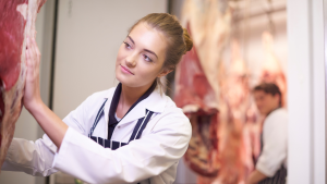Wholesale Butcher jobs in Canada for foreigners