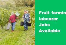 Fruit farming labourer jobs in Canada for foreigners, Dec 2023 Fruit farming labourer jobs in Canada for foreigners