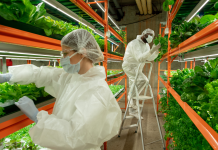 Farm labourer jobs in Canada for foreigners, Feb 2024 Farm labourer jobs in Canada for foreigners